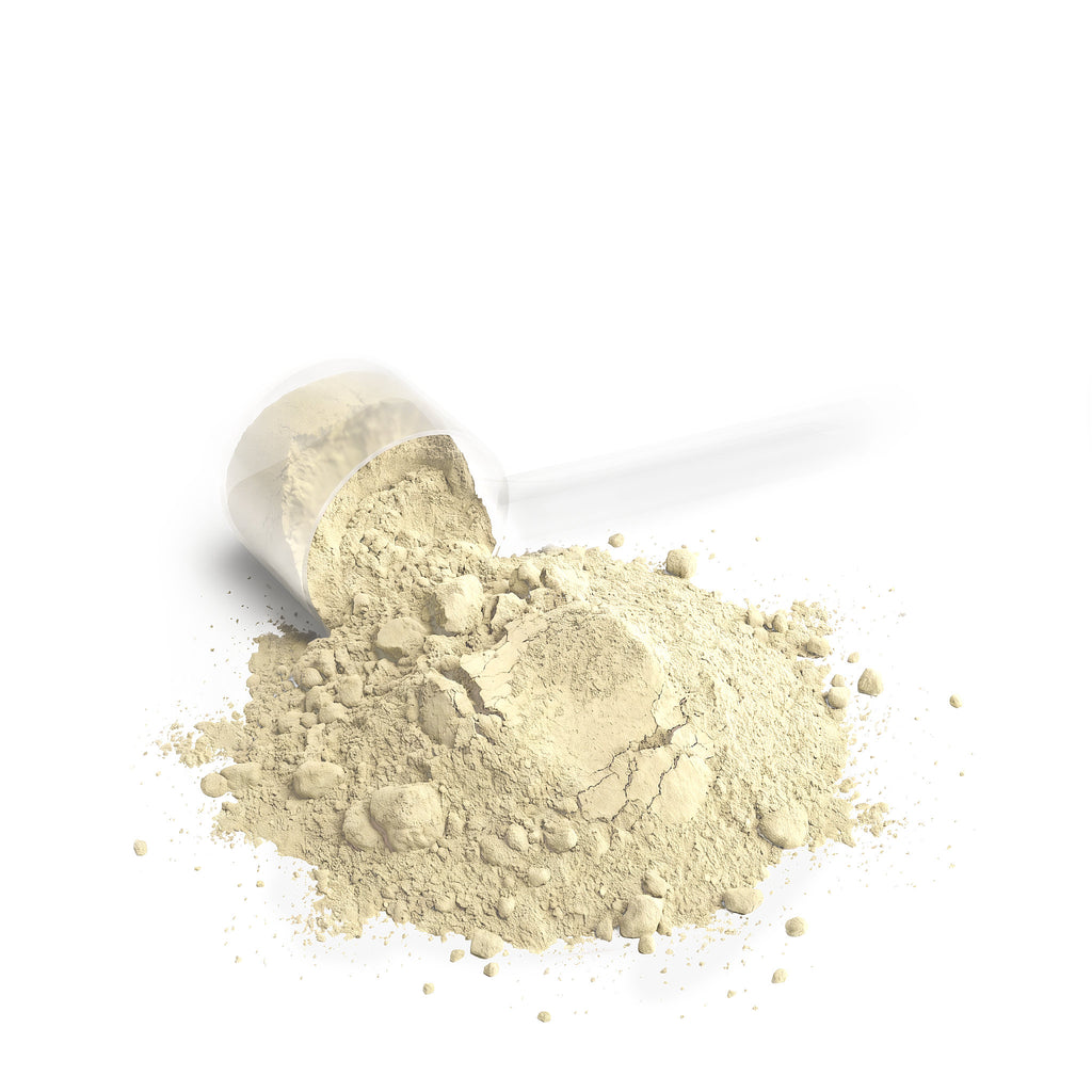 Performance Whey Protein Blend (Vanilla) Isaac temple nutrition